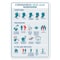 Signmission Flu Sign, Safety Advice And Tips, 10in X 7in Rigid Plastic, 7" W, 10" L, Safety Advice And Tips OS-NS-P-710-25589 - alternate 1
